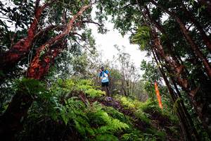 BIB: 
                            <button type="button" onclick="openModal(26201546)" class="btn btn-primary btn-sm float-right btn-popup" data-toggle="modal" data-target=".modal-high-quality">
                        <i class="fas fa-shopping-cart"></i> Add to Cart
                    </button>
                                            <button type="button" onclick="isThisMe(26201546, true)" class="btn btn-success btn-sm float-right btn-popup btn-isme hidden" data-toggle="tooltip" data-placement="bottom" title="นี่คือรูปของคุณใช่ไหม คลิกที่นี่เพื่อเอาเข้าอัลบั้ม">
                        <i class="fas fa-plus"></i> Add to album
                    </button>
                    <button type="button" onclick="isThisMe(26201546, false)" class="btn btn-warning btn-sm float-right btn-popup btn-isnotme hidden">
                        <i class="fas fa-ban"></i> Remove from album
                    </button>